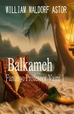 Balkameh: Fantasy: Professor Vaini 1 (eBook, ePUB)
