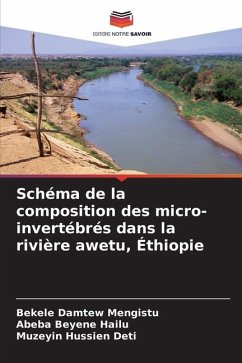 Schéma de la composition des micro-invertébrés dans la rivière awetu, Éthiopie - Mengistu, Bekele Damtew;Hailu, Abeba Beyene;Deti, Muzeyin Hussien