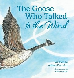 The Goose Who Talked to the Wind - Entrekin, Allison