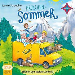 Päckchensommer - Schaudinn, Jasmin