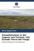 Umweltanalyse in der Lagune von Carmen, Isla Grande Tierra del Fuego