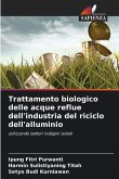 Trattamento biologico delle acque reflue dell'industria del riciclo dell'alluminio