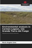 Environmental analysis in Carmen Lagoon, Isla Grande Tierra del Fuego