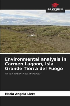 Environmental analysis in Carmen Lagoon, Isla Grande Tierra del Fuego - Llera, Maria Angela