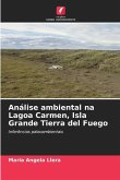 Análise ambiental na Lagoa Carmen, Isla Grande Tierra del Fuego