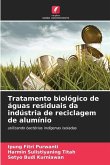 Tratamento biológico de águas residuais da indústria de reciclagem de alumínio