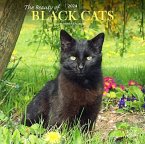 BLACK CATS THE BEAUTY OF 2024 SQUARE STK