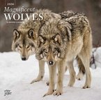 MAGNIFICENT WOLVES 2024 SQUARE STKR STAR