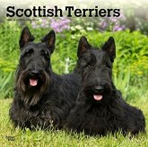 SCOTTISH TERRIERS 2024 SQUARE SCOTTISH TERRIERS 2024 SQUARE