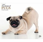 PUGS THE BEAUTY OF 2024 DELUXE STKR STAR