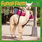 AVANTI FUNNY FARM 2024 SQUARE STKR STARG AVANTI FUNNY FARM 2024 SQUARE STKR STARG