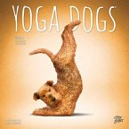 YOGA DOGS 2024 SQUARE STKR STARGIFTS