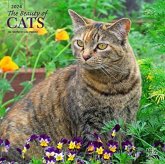 CATS THE BEAUTY OF 2024 SQUARE STKR STAR CATS THE BEAUTY OF 2024 SQUARE STKR STAR
