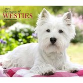 WEST HIGHLAND WHITE TERRIERS THE BEAUTY