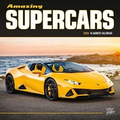 AMAZING SUPERCARS 2024 SQUARE STKR STARG