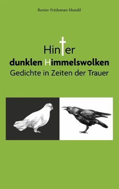 Hinter dunklen Himmelswolken (eBook, ePUB)