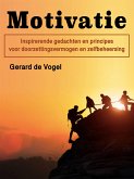 Motivatie (eBook, ePUB)