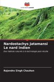 Nardostachys Jatamansi Le nard indien