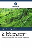 Nardostachys Jatamansi Der indische Spikard