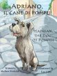Adriano, Il Cane Di Pompei - Hadrian,... - Bild 1