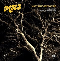Mh3 - Martin Högberg Trio