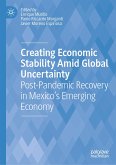 Creating Economic Stability Amid Global Uncertainty (eBook, PDF)