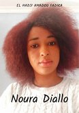 Noura Diallo (eBook, ePUB)