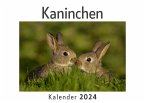 Kaninchen (Wandkalender 2024, Kalender DIN A4 quer, Monatskalender im Querformat mit Kalendarium, Das perfekte Geschenk)