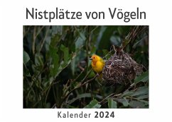 Nistplätze von Vögeln (Wandkalender 2024, Kalender DIN A4 quer, Monatskalender im Querformat mit Kalendarium, Das perfekte Geschenk) - Müller, Anna