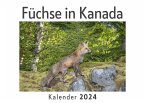 Füchse in Kanada (Wandkalender 2024, Kalender DIN A4 quer, Monatskalender im Querformat mit Kalendarium, Das perfekte Geschenk)