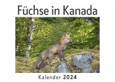 Füchse in Kanada (Wandkalender 2024, Kalender DIN A4 quer, Monatskalender im Querformat mit Kalendarium, Das perfekte Geschenk) Füchse in Kanada (Wandkalender 2024, Kalender DIN A4 quer, Monatskalender im Querformat mit Kalendarium, Das perfekte Geschenk)