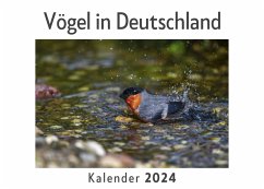 Vögel in Deutschland (Wandkalender 2024, Kalender DIN A4 quer, Monatskalender im Querformat mit Kalendarium, Das perfekte Geschenk) - Müller, Anna