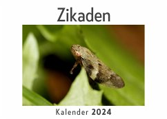 Cover Zikaden (Wandkalender 2024, Kalender DIN A4 quer, Monatskalender im Querformat mit Kalendarium, Das perfekte Geschenk)