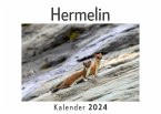 Hermelin (Wandkalender 2024, Kalender DIN A4 quer, Monatskalender im Querformat mit Kalendarium, Das perfekte Geschenk)