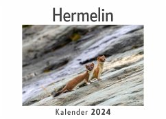 Hermelin (Wandkalender 2024, Kalender DIN A4 quer, Monatskalender im Querformat mit Kalendarium, Das perfekte Geschenk) - Müller, Anna