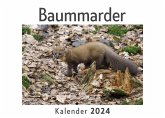 Baummarder (Wandkalender 2024, Kalender DIN A4 quer, Monatskalender im Querformat mit Kalendarium, Das perfekte Geschenk)