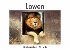 Löwen (Wandkalender 2024, Kalender DIN A4 quer, Monatskalender im Querformat mit Kalendarium, Das perfekte Geschenk) - Müller, Anna