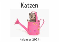 Katzen (Wandkalender 2024, Kalender DIN A4 quer, Monatskalender im Querformat mit Kalendarium, Das perfekte Geschenk) - Müller, Anna