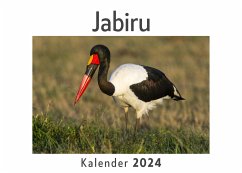 Jabiru (Wandkalender 2024, Kalender DIN A4 quer, Monatskalender im Querformat mit Kalendarium, Das perfekte Geschenk) - Müller, Anna