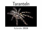 Taranteln (Wandkalender 2024, Kalender DIN A4 quer, Monatskalender im Querformat mit Kalendarium, Das perfekte Geschenk)
