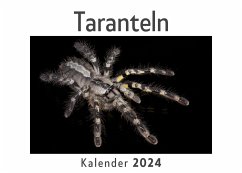 Taranteln (Wandkalender 2024, Kalender DIN A4 quer, Monatskalender im Querformat mit Kalendarium, Das perfekte Geschenk) - Müller, Anna