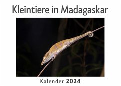 Kleintiere in Madagaskar (Wandkalender 2024, Kalender DIN A4 quer, Monatskalender im Querformat mit Kalendarium, Das perfekte Geschenk) - Müller, Anna