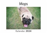 Mops (Wandkalender 2024, Kalender DIN A4 quer, Monatskalender im Querformat mit Kalendarium, Das perfekte Geschenk)