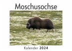 Moschusochse (Wandkalender 2024, Kalender DIN A4 quer, Monatskalender im Querformat mit Kalendarium, Das perfekte Geschenk)