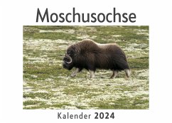 Moschusochse (Wandkalender 2024, Kalender DIN A4 quer, Monatskalender im Querformat mit Kalendarium, Das perfekte Geschenk) - Müller, Anna