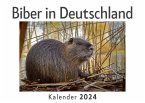 Biber in Deutschland (Wandkalender 2024, Kalender DIN A4 quer, Monatskalender im Querformat mit Kalendarium, Das perfekte Geschenk)