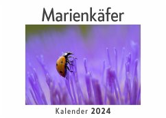 Marienkäfer (Wandkalender 2024, Kalender DIN A4 quer, Monatskalender im Querformat mit Kalendarium, Das perfekte Geschenk) - Müller, Anna