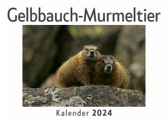 Gelbbauch-Murmeltier (Wandkalender 2024, Kalender DIN A4 quer, Monatskalender im Querformat mit Kalendarium, Das perfekte Geschenk) - Müller, Anna