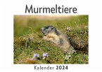 Murmeltiere (Wandkalender 2024, Kalender DIN A4 quer, Monatskalender im Querformat mit Kalendarium, Das perfekte Geschenk)