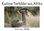Kuriose Tierbilder aus Afrika (Wandkalender 2024, Kalender DIN A4 quer, Monatskalender im Querformat mit Kalendarium, Das perfekte Geschenk)